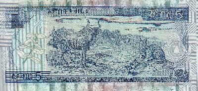 Beschrijving achterzijde: ANIMALS